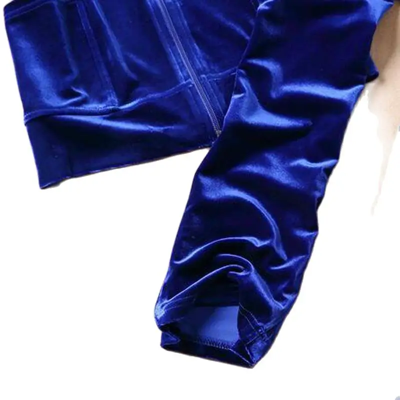 Весенне-осенний Женский бархатный брендовый Бархатный спортивный костюм из