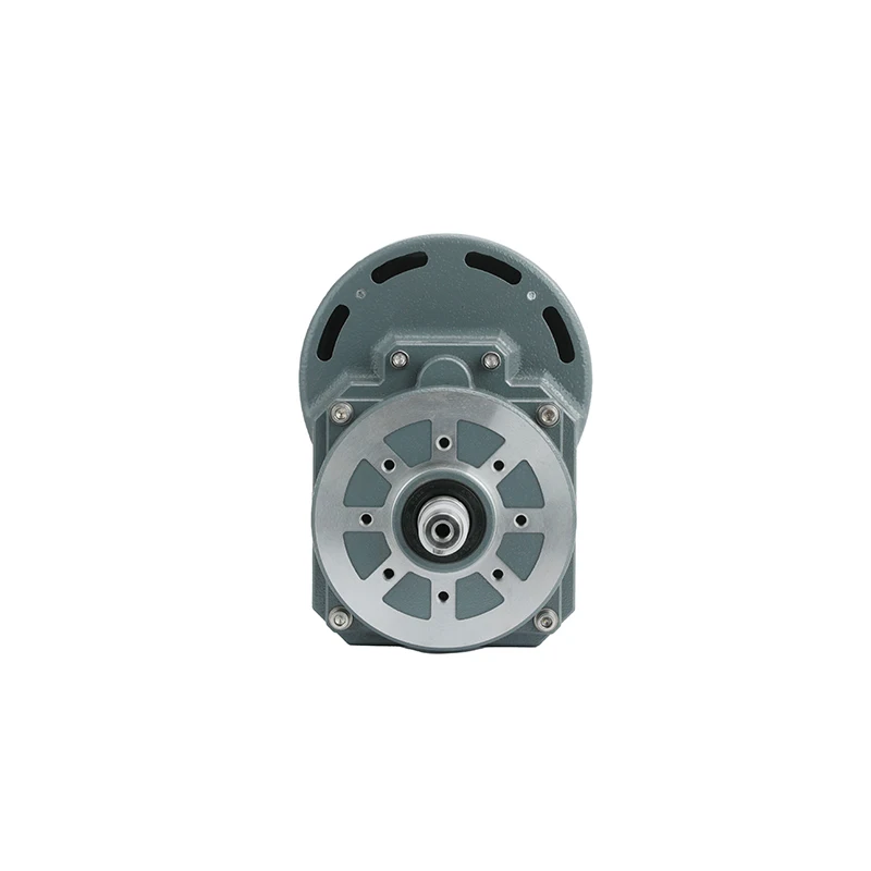 Настраиваемый редукторный двигатель постоянного тока PrimoPal 882W 24VDC Dia.145