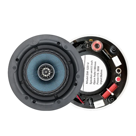 5,25 коаксиальный Высокоточный сабвуфер, Пассивный потолочный динамик полного диапазона, интеллектуальная звуковая система для домашнего фона, музыкального кинотеатра