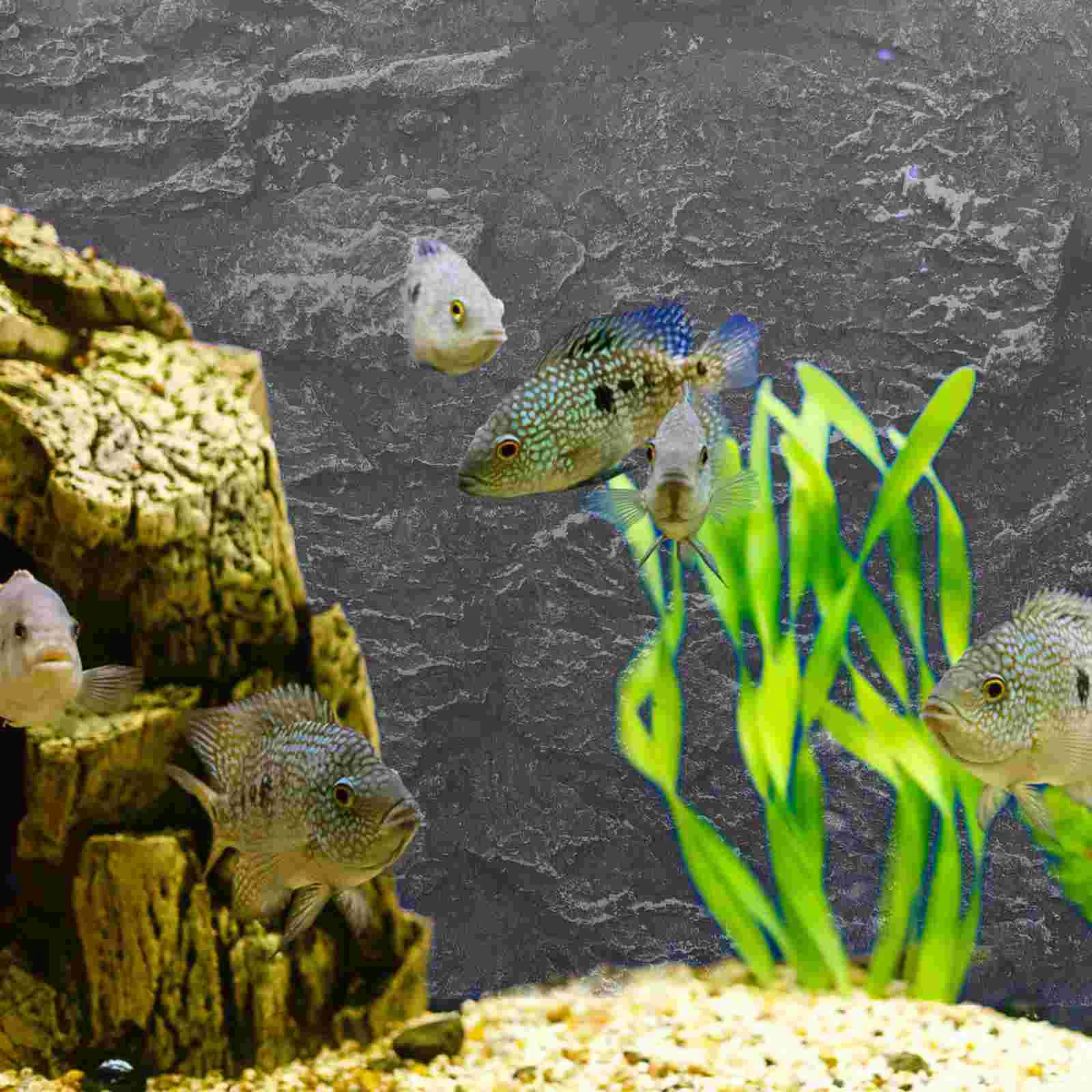 Фон рок-аквариум аксессуары змея рептилия доски террариум пользовательские обои