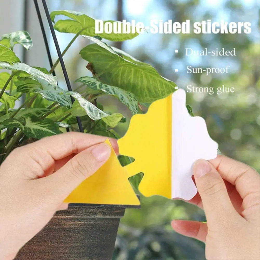 12 шт. прочные Желтые Липкие Ловушки для фруктов мух насекомых клейкие насекомые