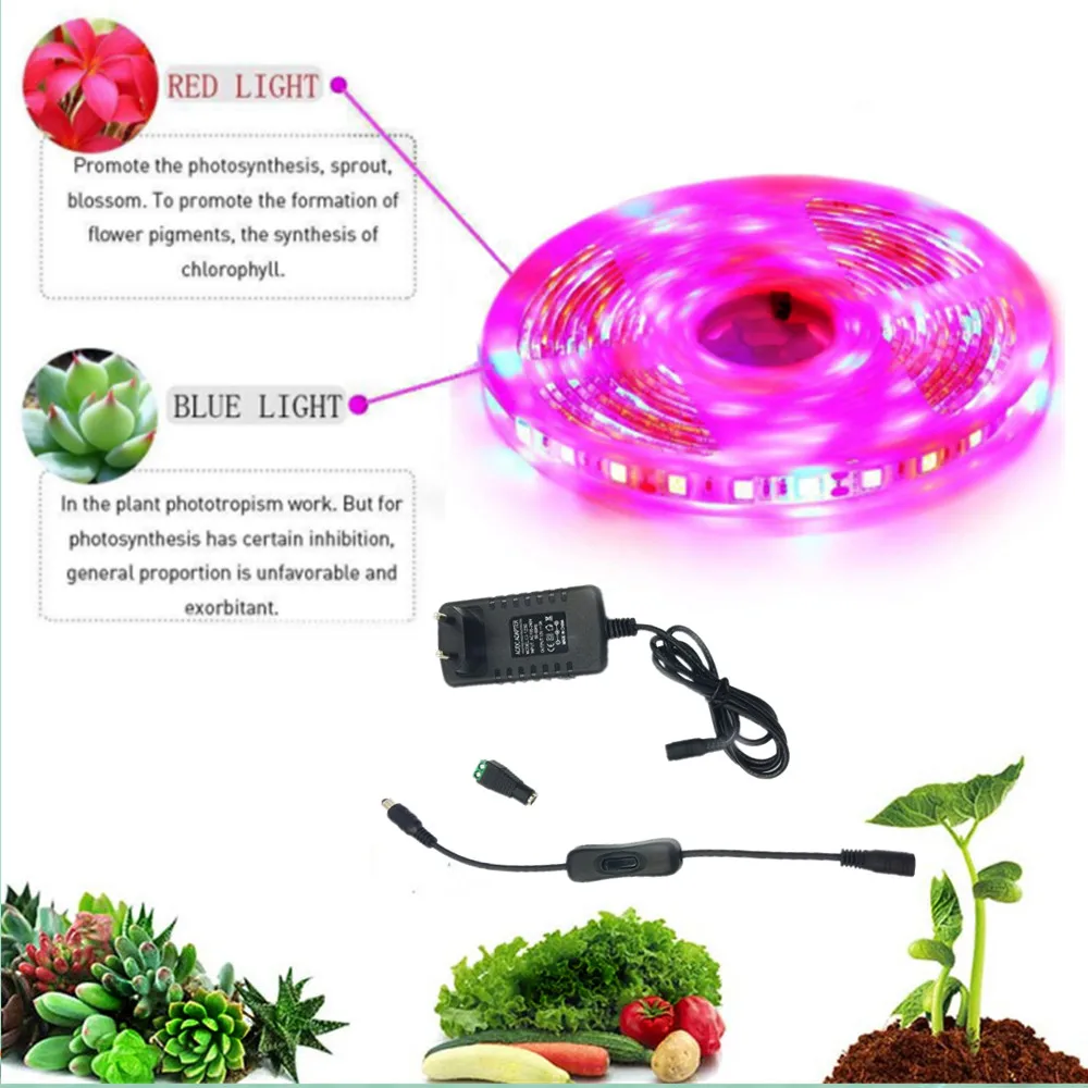 

led grow strip light 5M Full Spectrum Flower Plant Growing lights phyto Greenhouse Hydroponic Growth lamp Waterproof indoor for