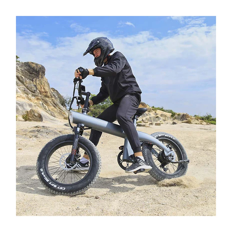 

Hot Sale Beach Snow Ebike 750 Watts Bicicleta High Speed 32km/h Mountain Bicycle 20inch Fat Tire Motorcycle