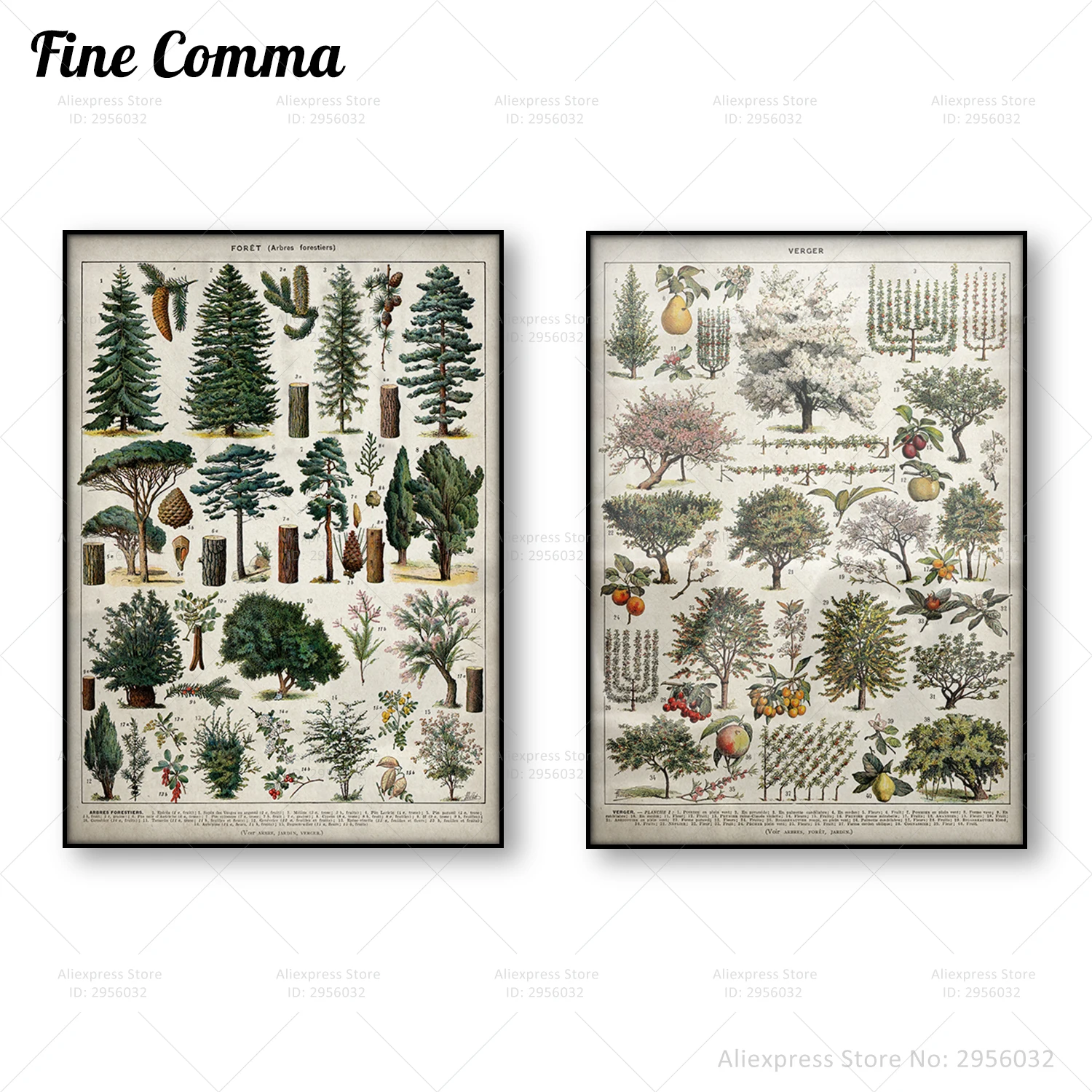 

Vintage Forest Poster Pine Tree Wall Art Poster Nature Canvas Print Larousse Eductional Illustration Wall Painting Home Decor