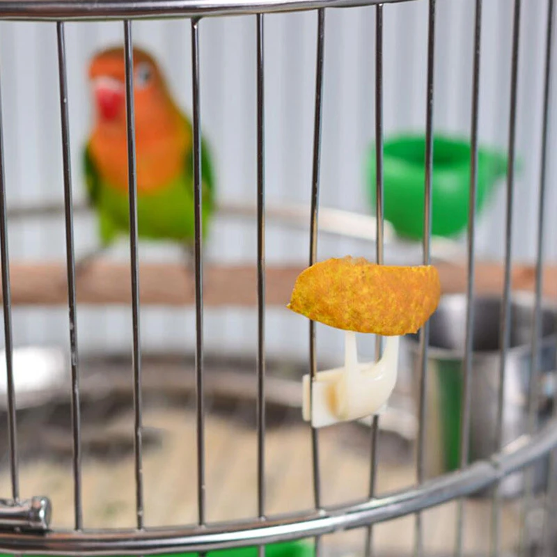 2Pcs Birds Parrots Fruit Fork Pet Supplies Plastic Food Holder Feeding on Cage 2size Parakeet Accessories |