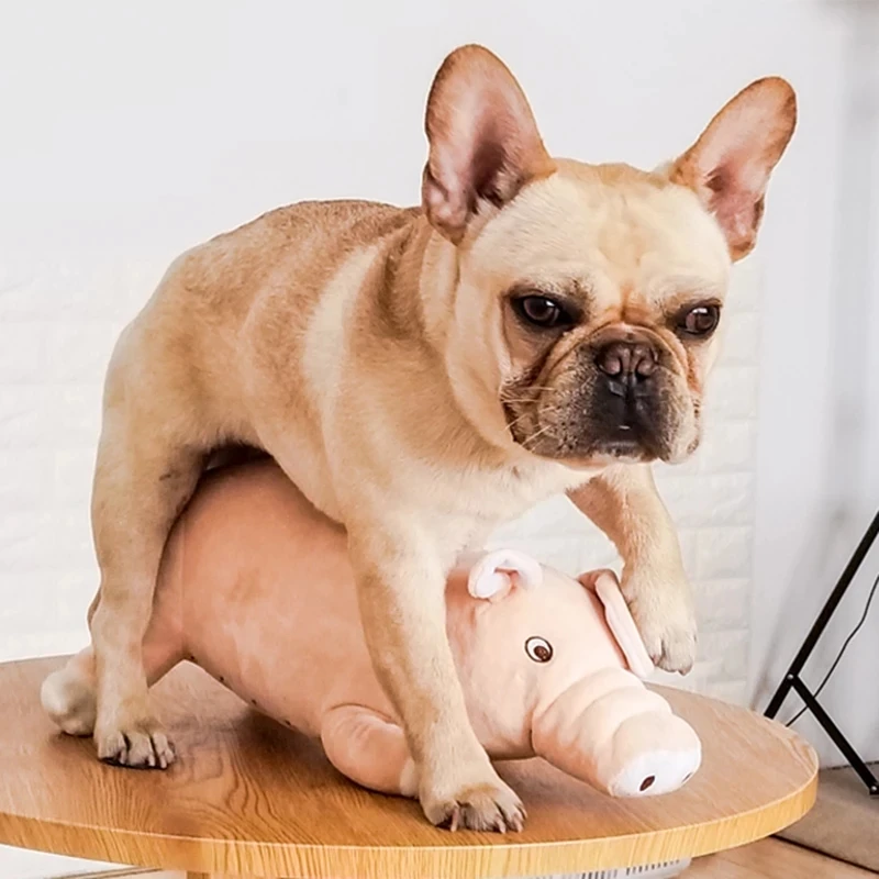 For Small Dogs French Bulldog Bite Molar Venting Supplies Pu