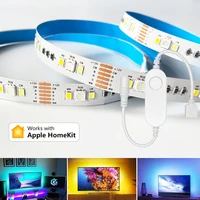 apple homekit smart led strip dc12v wifi rgbcw rgbcct flexible dimmable tv backlight lamp room night light siri voice control