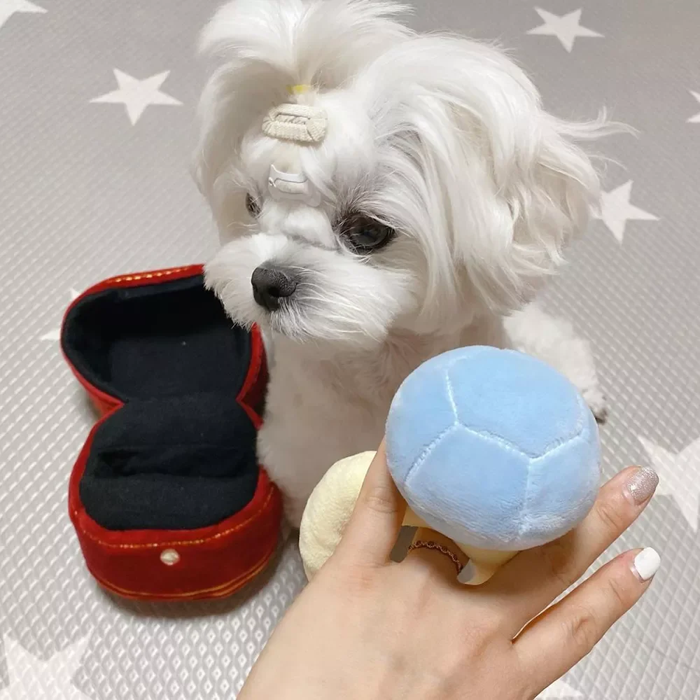 

Creative Simulation Pet Dog Toys for Small Dogs Diamond Ring Squeaky Puppy Cat Toy Chew Toys Pets Products Lover's Gifts Box