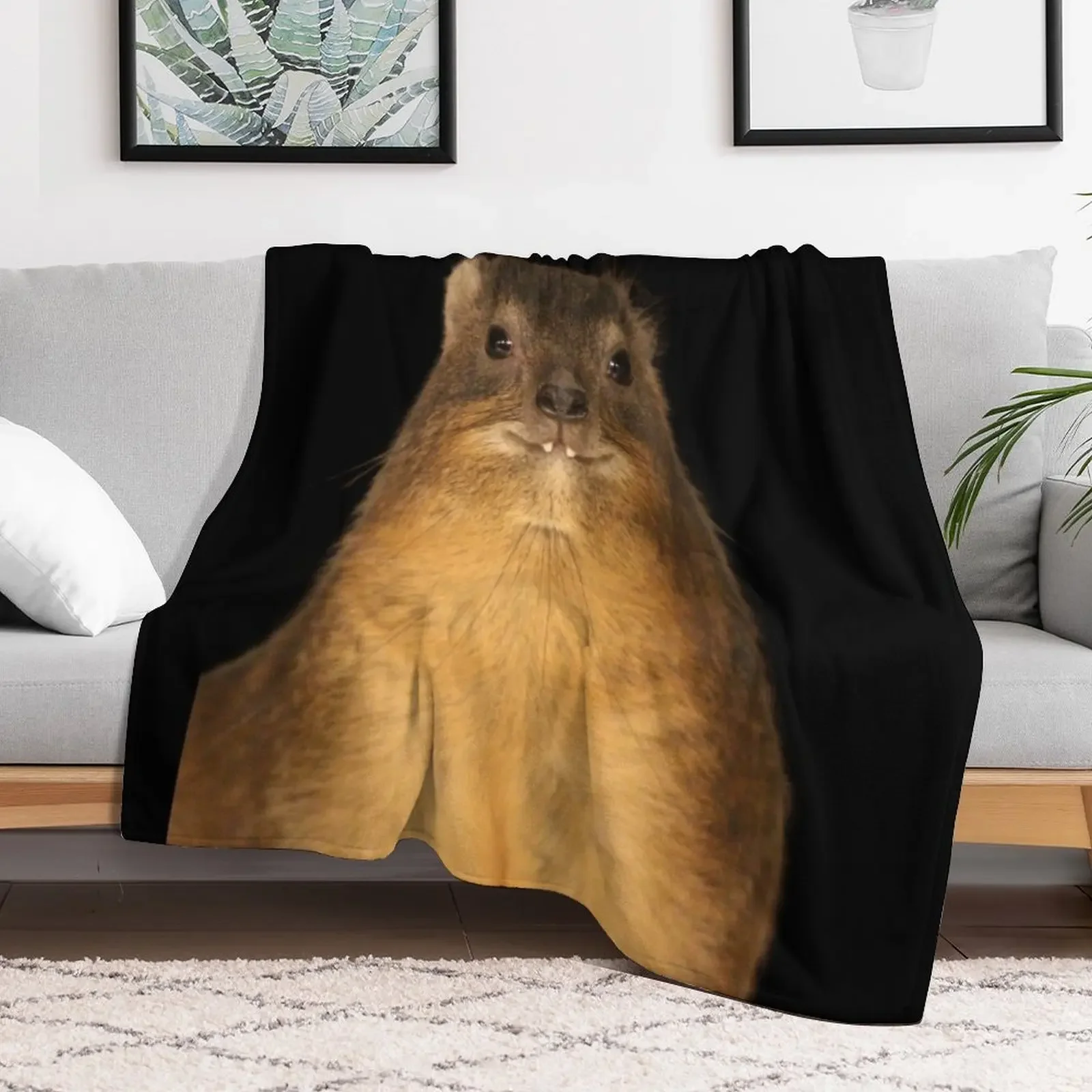 Фото Rock Hyrax Photo - Rosenie, милое одеяло с картофелем вампира, спальный мешок, модные диваны, одеяло для дивана, одеяла №2