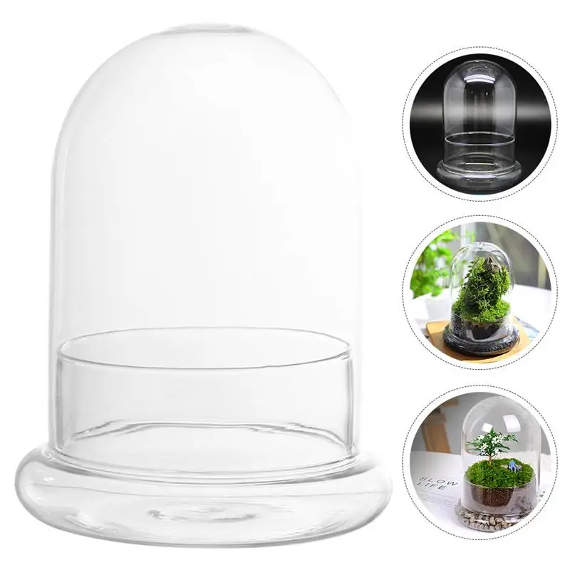 

Micro Landscape Bottle Cloche Dome Vertical Terrarium Glass Display DIY Terrariums Plants Moss Florarium For