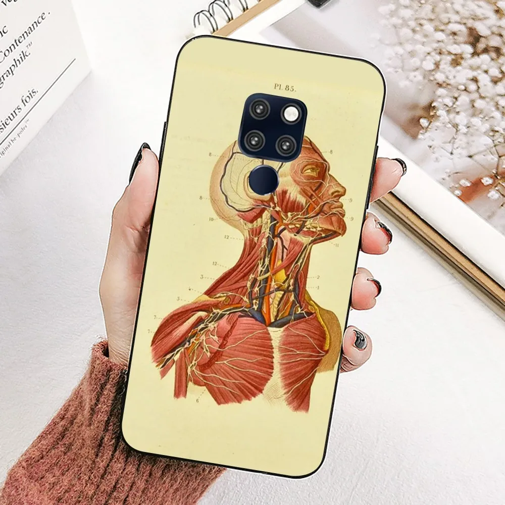Медицинский чехол для телефона с анатомии человека Huawei Mate 10 20 30 40 50 Lite Pro Nova 3 3i 5 6 SE 7