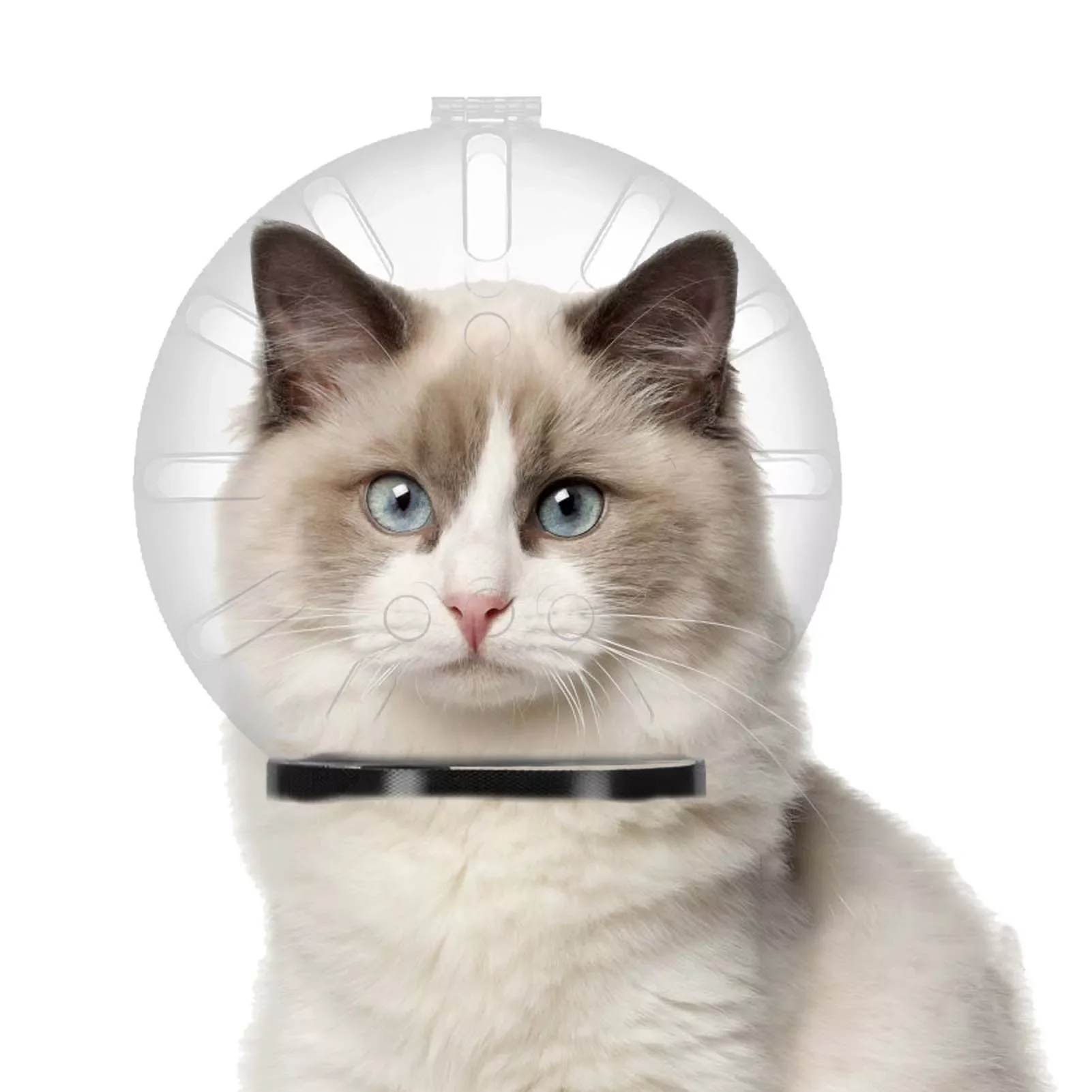 

Anti-Licking Bath Grooming Protective Space Hood Anti-Bite Breathable Grooming Supplies