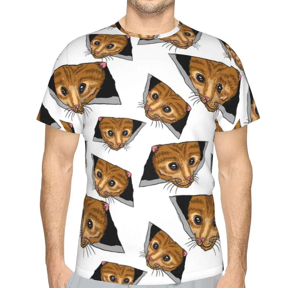 

Polyester TShirts Ceiling Cat Print Homme Thin T Shirt Funny Clothing