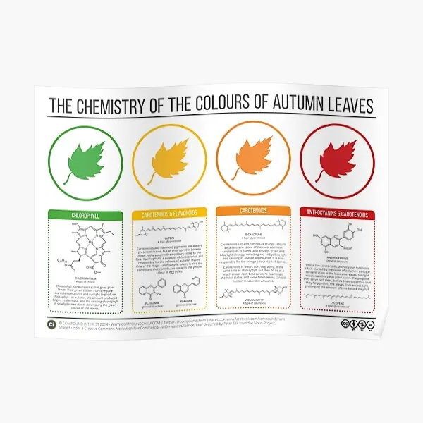 

Autumn Leaves Chemistry Poster Modern Art Mural Painting Room Home Vintage Funny Print Decoration Picture Wall Decor No Frame