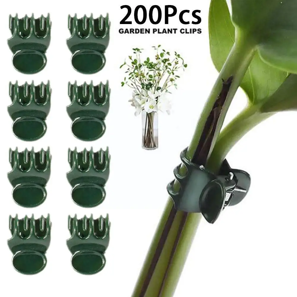 200 Pieces Plant Support Clips Garden Plant Clips Reusable Plant Support Clip For Supporting Vine Garden Flower Tomatoes E0V1