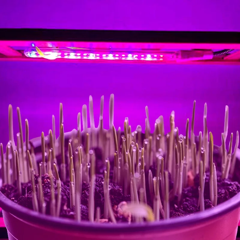 USB 5 В лампа для выращивания растений полный спектр комнатная фитотеплица цветов
