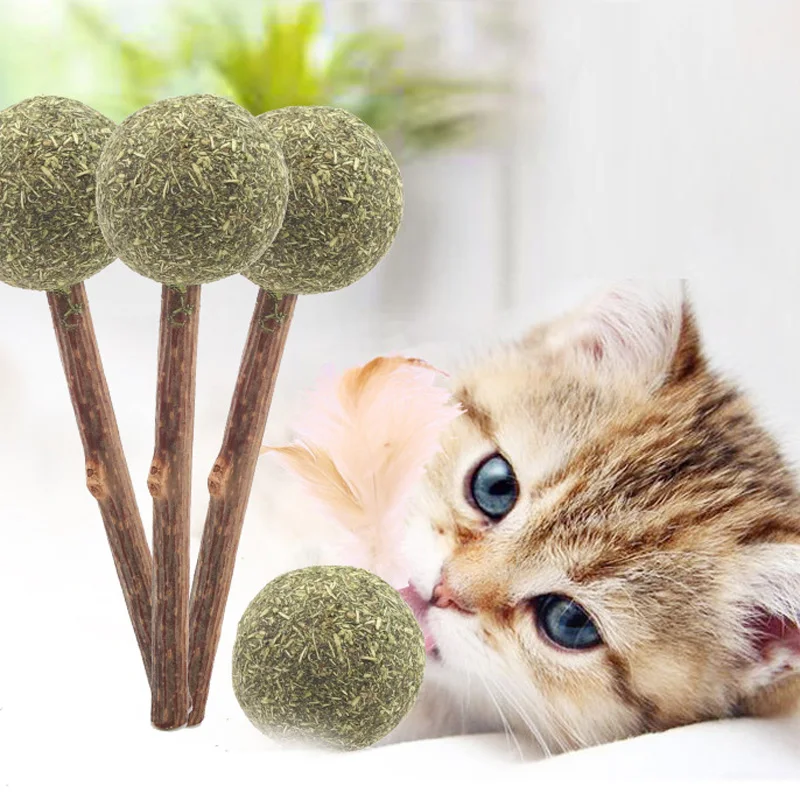 

Pet Catnip Toys Edible Catnip Ball Safety Healthy Cat Mint Cats Home Chasing Game Toy Products Clean Teeth The Stomach