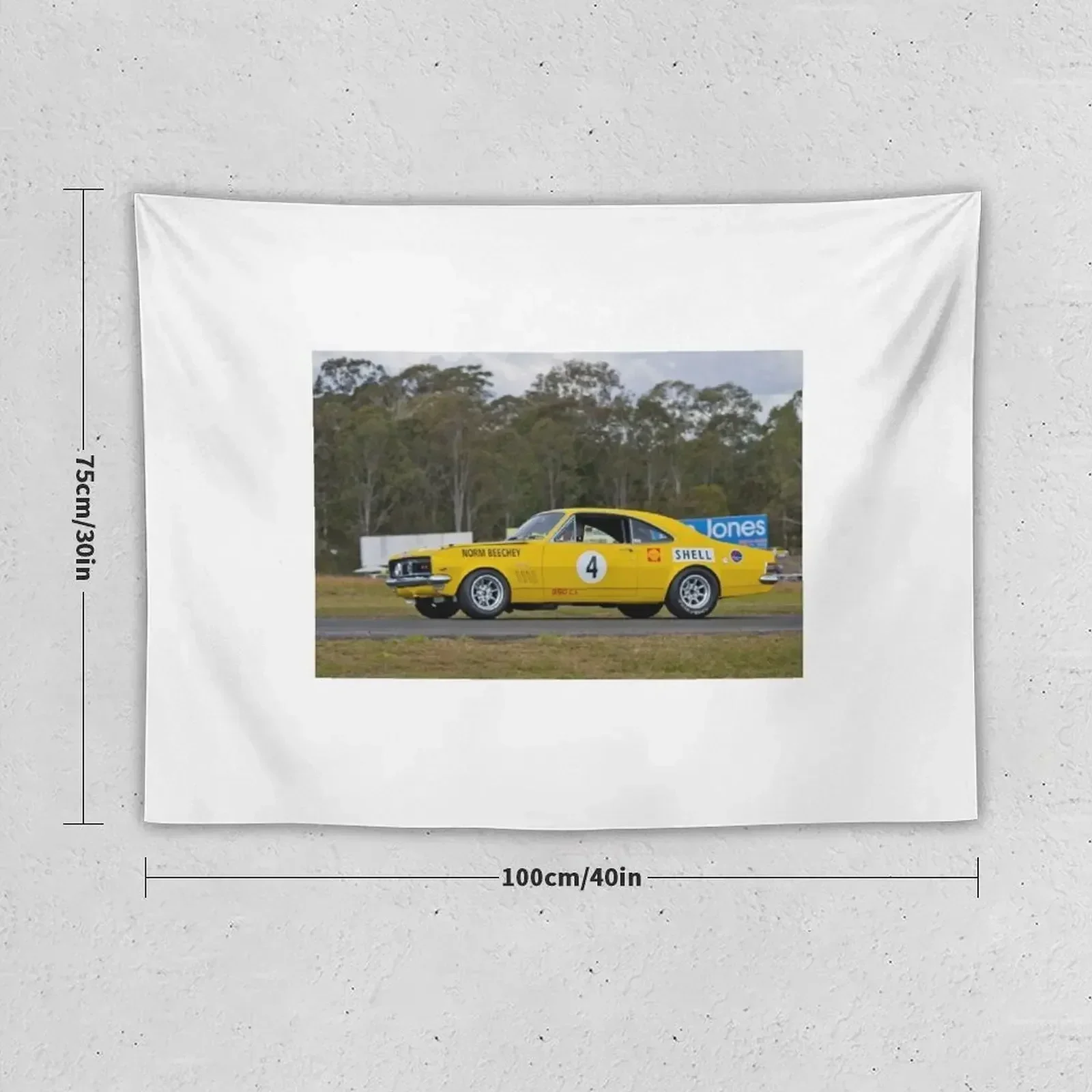 Норм Beechey Monaro Гобелен Декор для спальни Эстетические украшения комнаты на заказ