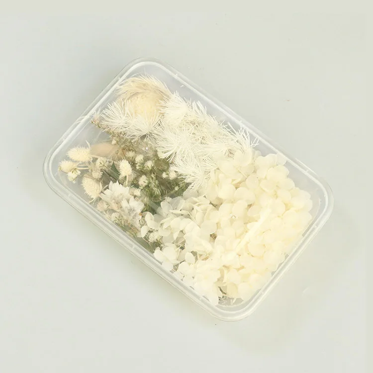 

Коробка сухих цветов для творчества