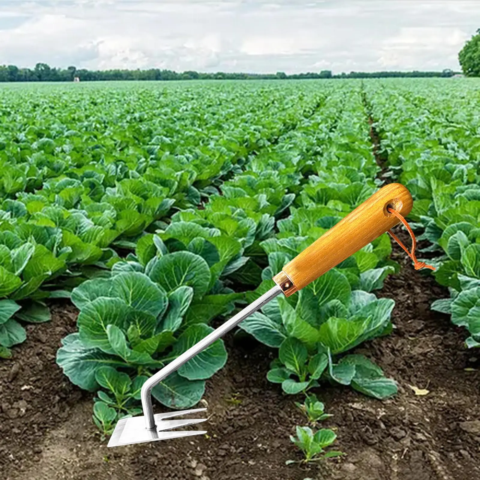 

Weeding Tool Stainless Steel Digger Hand Weeding Removal Save Labors Stand up