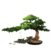 chinese arborvitae artificial greeting pine fake trees bonsai living room office hallway decorations model room landscape
