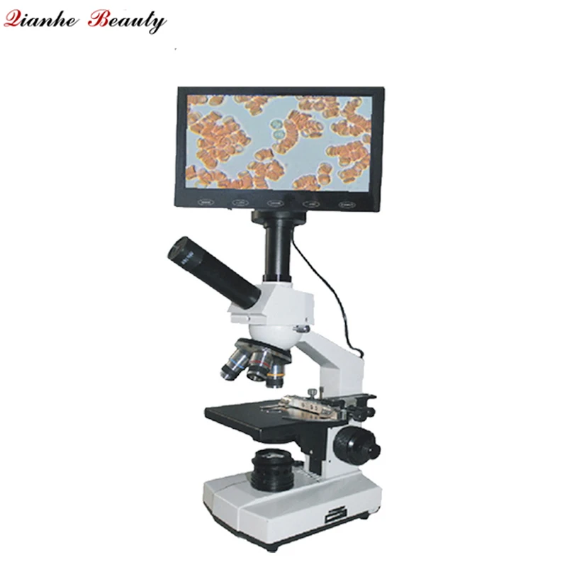

Latest blood analysis darkfield live blood and dry blood microscope