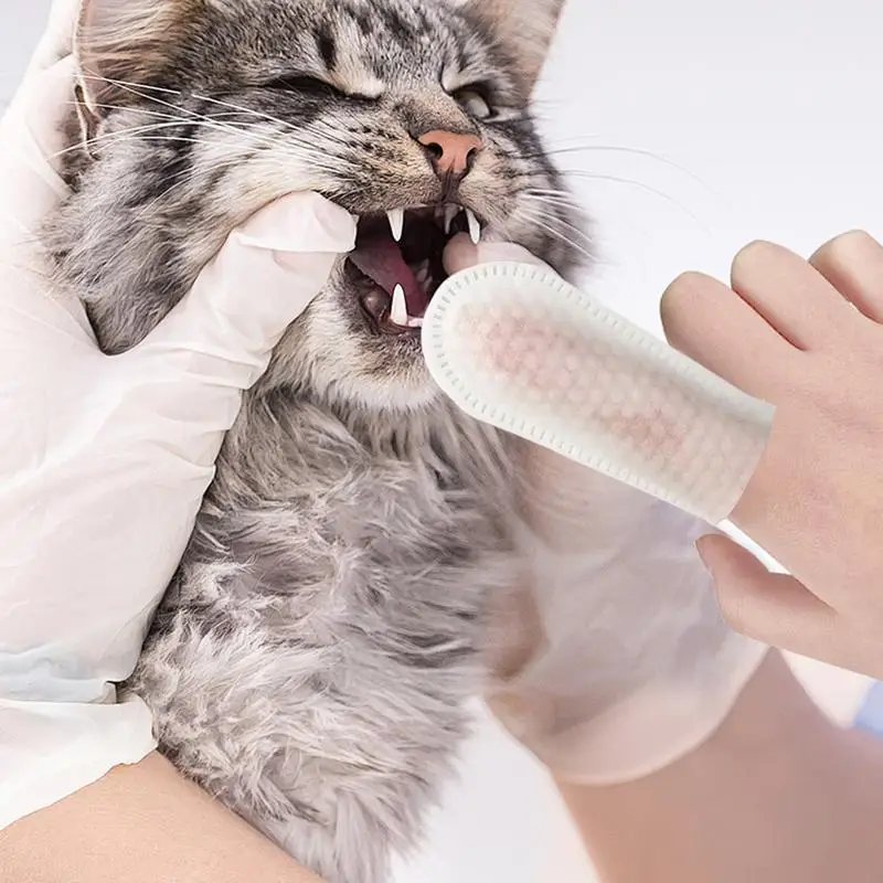 do czyszczenia zębów psa Chusteczki Skuteczne nakładki Zestaw Przenośna rękawica