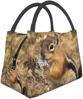 cute squirrel eat honey lunch bags reusable box tote meal prep container for men women work picnic school or travel
