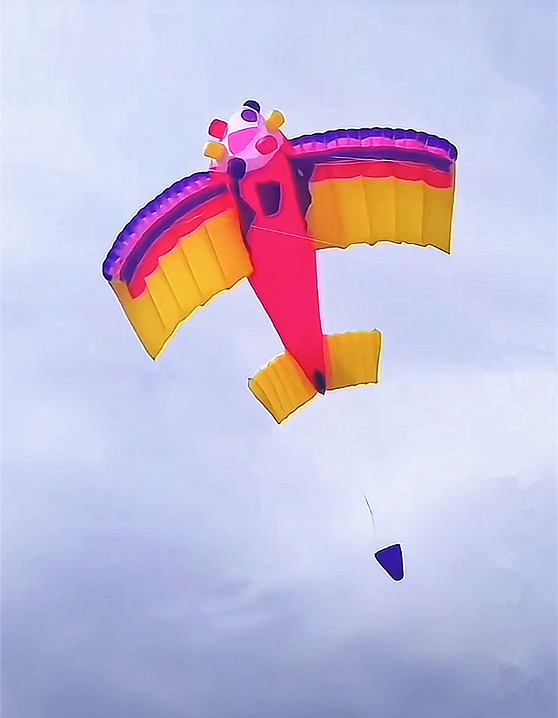 Бесплатная доставка двойная линия самолета воздушный змей ветровая указка