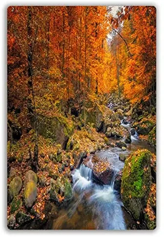 

Metal Sign Stream in Foggy Forest at Autumn Nationalpark Harz Wall Paintings