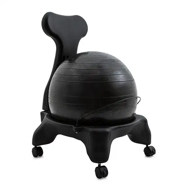 

FitPro Ball Chair 50 cm PVC Gray BCHX