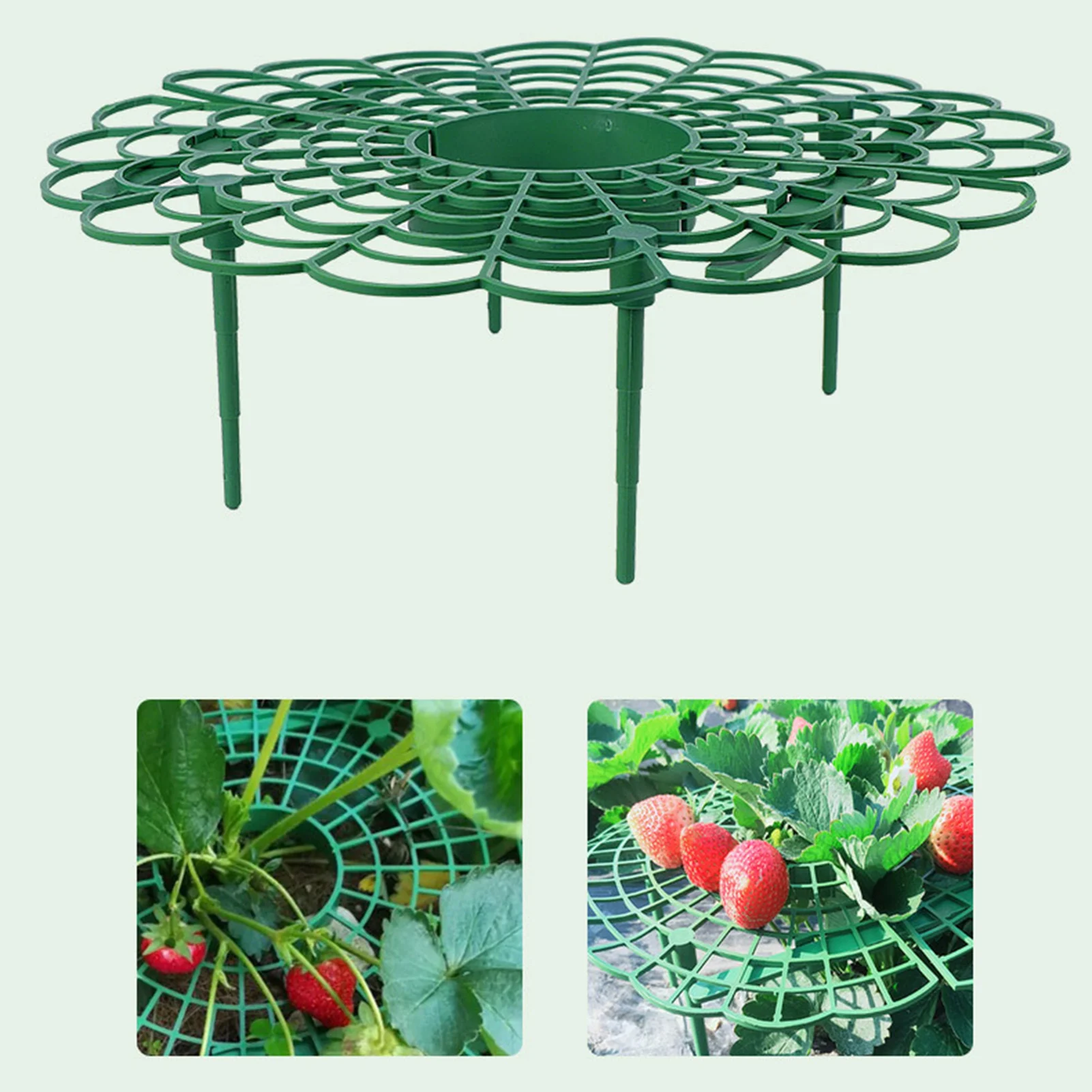

Strawberry Supports Sturdy Strawberry Supports Stand3 Pack Strawberry Plant Stands Keeping Berries Clean And Avoid Ground Rot In