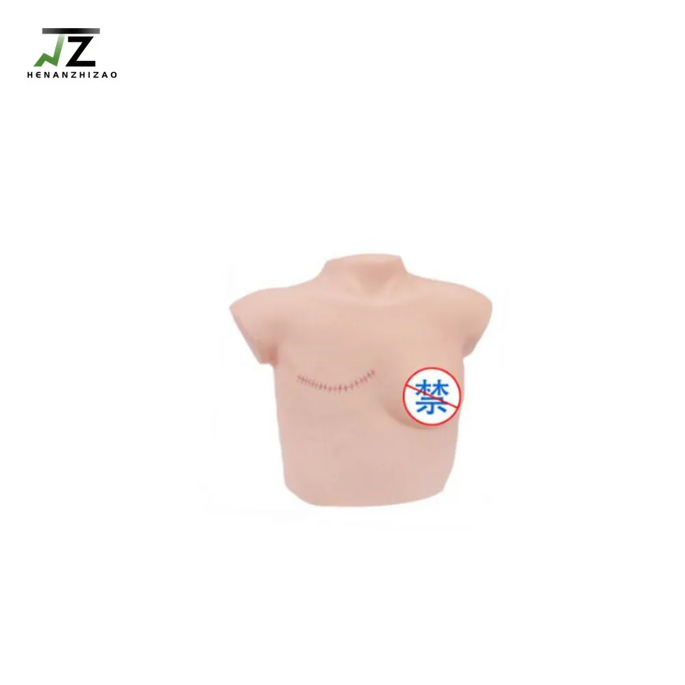 

Breast examination model Post Mastectomy nursing model