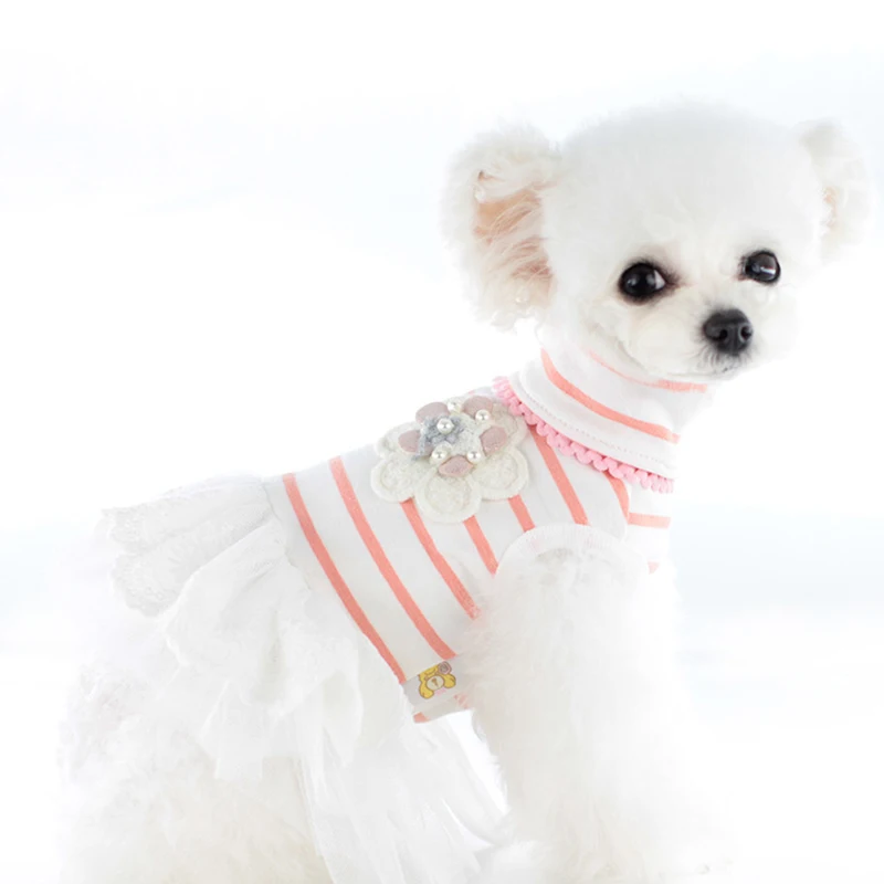 Одежда для домашних животных на весну/лето новая юбка собаки платье высокий