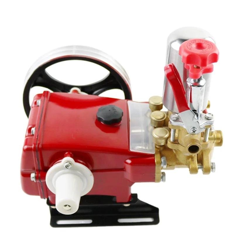 

Agricultural Portable Universal Motor Pesticide Plunger Pump Power Sprayer