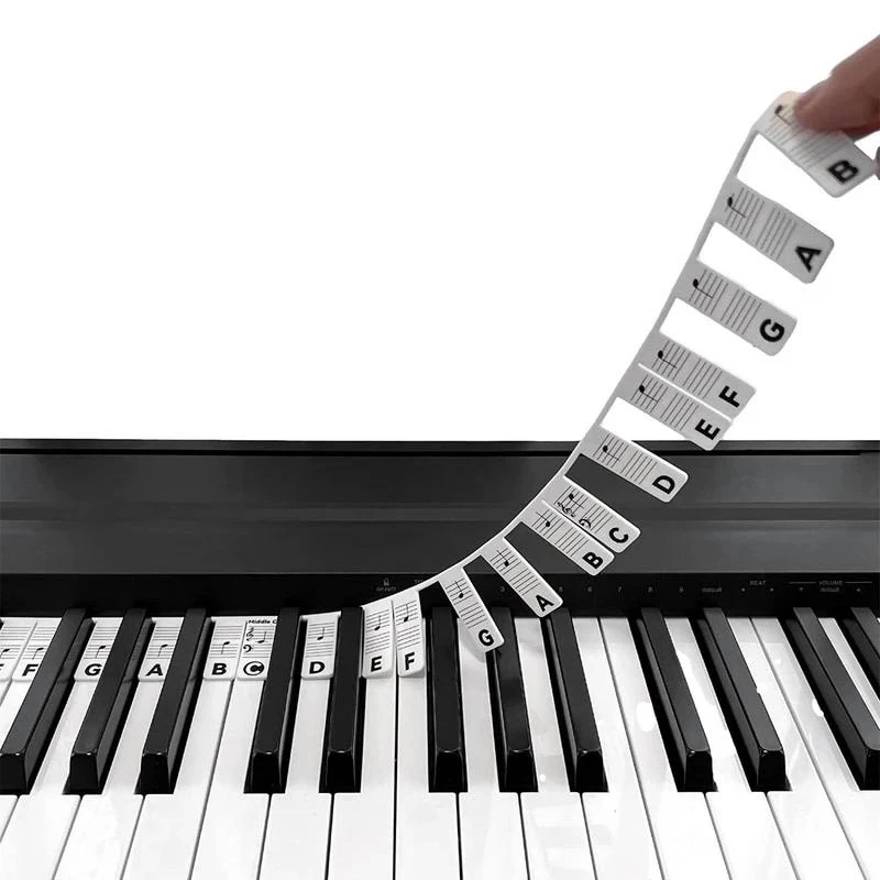 

88 Keys Colorful Transparent Piano Keyboard Stickers Electronic Keyboard Key Piano Stave Note Sticker Symbol for White Keys