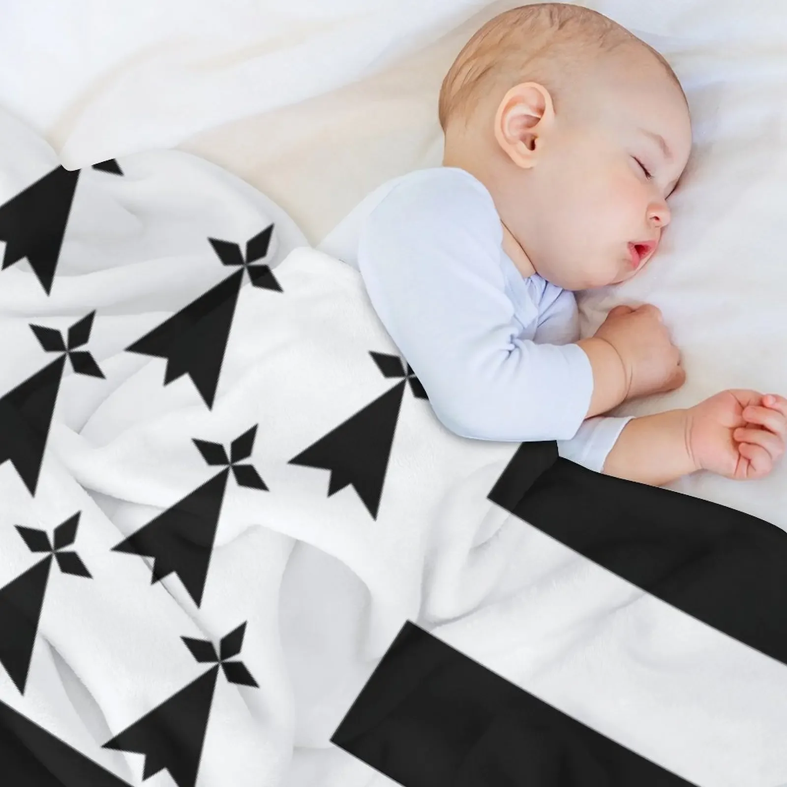 Флаг Бретани флаг гвенн-ха-Ду Эрмин черно-белый HD Высокое качество в