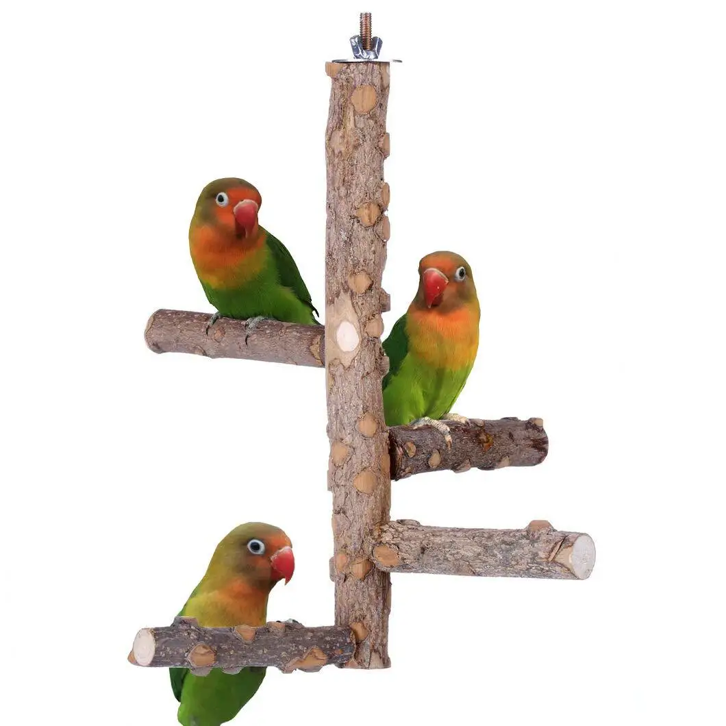 

Parrot Toy Bite Toy Swing Bell Zanthoxylum Bungeanum Wood Activity Stand