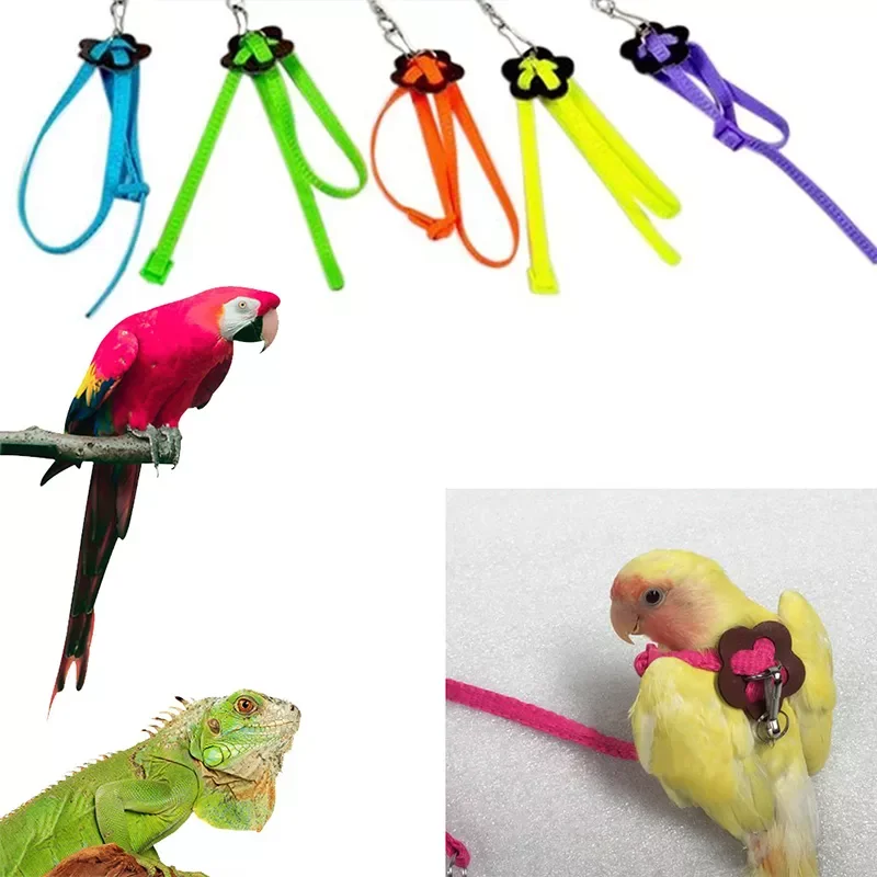 

Colorful Parrot Bird Collar Harness Adjustable Hamster Turtle Lizard Traction Rope Reins 8-shaped Collar Pet Strap Leash