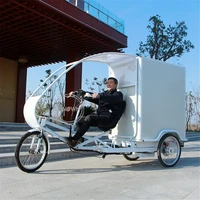1000w gears electric assistant large carrying velo cargo grocery delivery bike commercial logistics trike tricycle