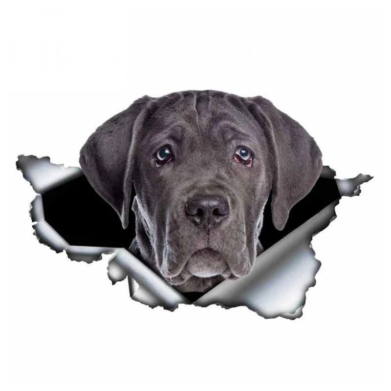 

A0115 #13 см/17 см 3D самоклеящаяся наклейка черный тростник дорога водонепроницаемые автомобильные декорации на бампер заднее окно ноутбук