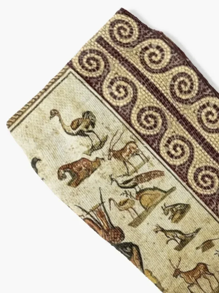 АНТИКЦИАЛЬНЫЕ РИМСКИЕ МОЩАИКИ ЖИВОТНЫЕ УСТРОЙСТВО С МИСТЕЙ МУЗЫКОЙ Носки