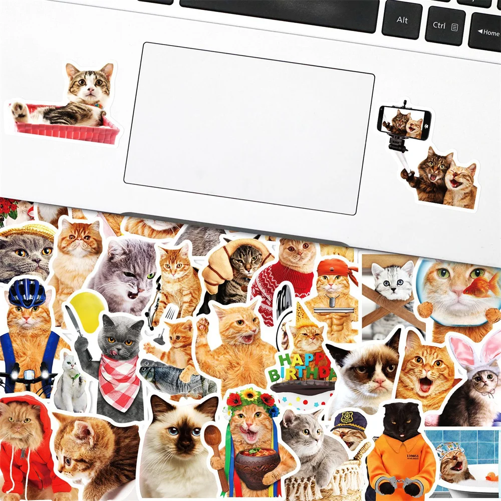 

50pcs Cute Realistic Cat Stickers For Notebooks Stationery Vintage Scrapbook Kitty Sticker Scrapbooking Material Craft Supplies