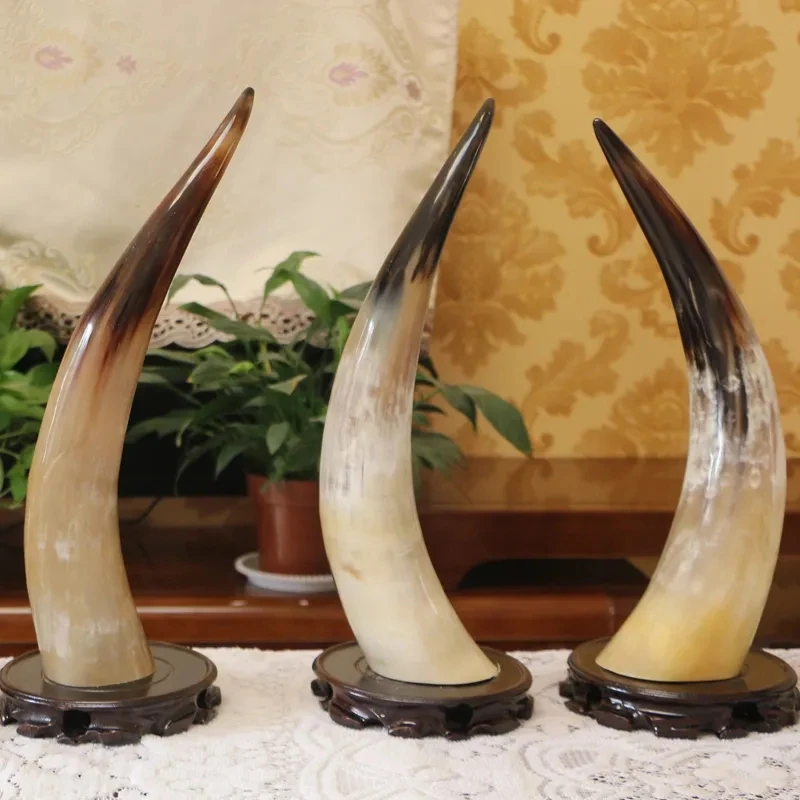 Natural Yak Horn Ornament Pure Handmade Home Art Office Bar Ornament Authentic Ox Horn