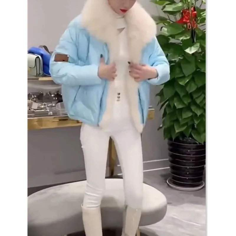 Winter New Down Cotton Padded Jacket Fashion and Elegant Korean Style Short Padded Jacket Light and Warm Women's Padded Jacket