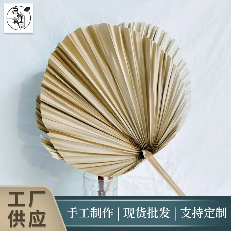 Источник производителей пальмовых листьев растительные сухие цветы ДИЙ праздничное украшение 3,19 доллара США.