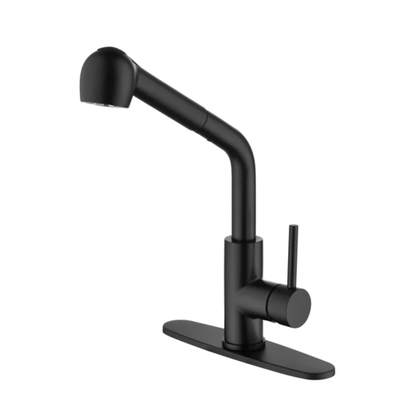 

Single-Handle Pull-Out Sprayer Kitchen Faucet In Stainless Matte Black[US Stock]