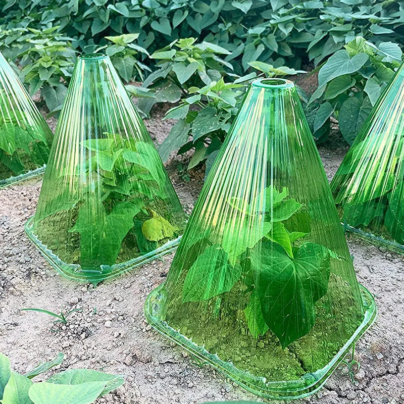 

Пластиковые укрытия для растений 10 шт.