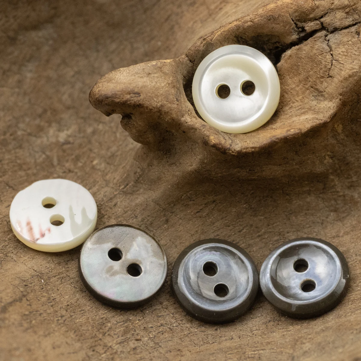 

5pcs Two Hole Cute Shill Buttons Black White Black Lip Shell Natural Sewing Accessories Shirt Beige Oriental Style Luxury