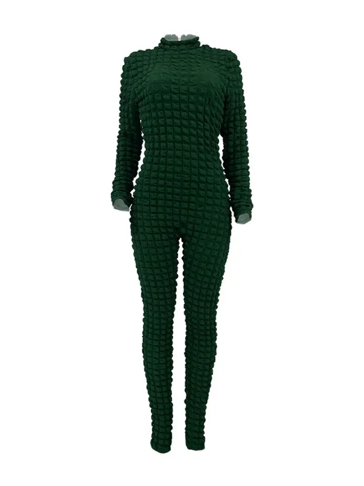 New Fashion Women Casual Mock Neck Slim Fit Skinny Oneice Daily Wear Long Sleeve Textured Zip Back Jumpsuit